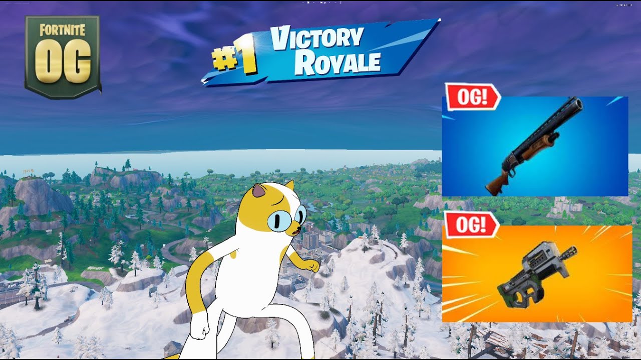 45 Kill Fortnite Solos 