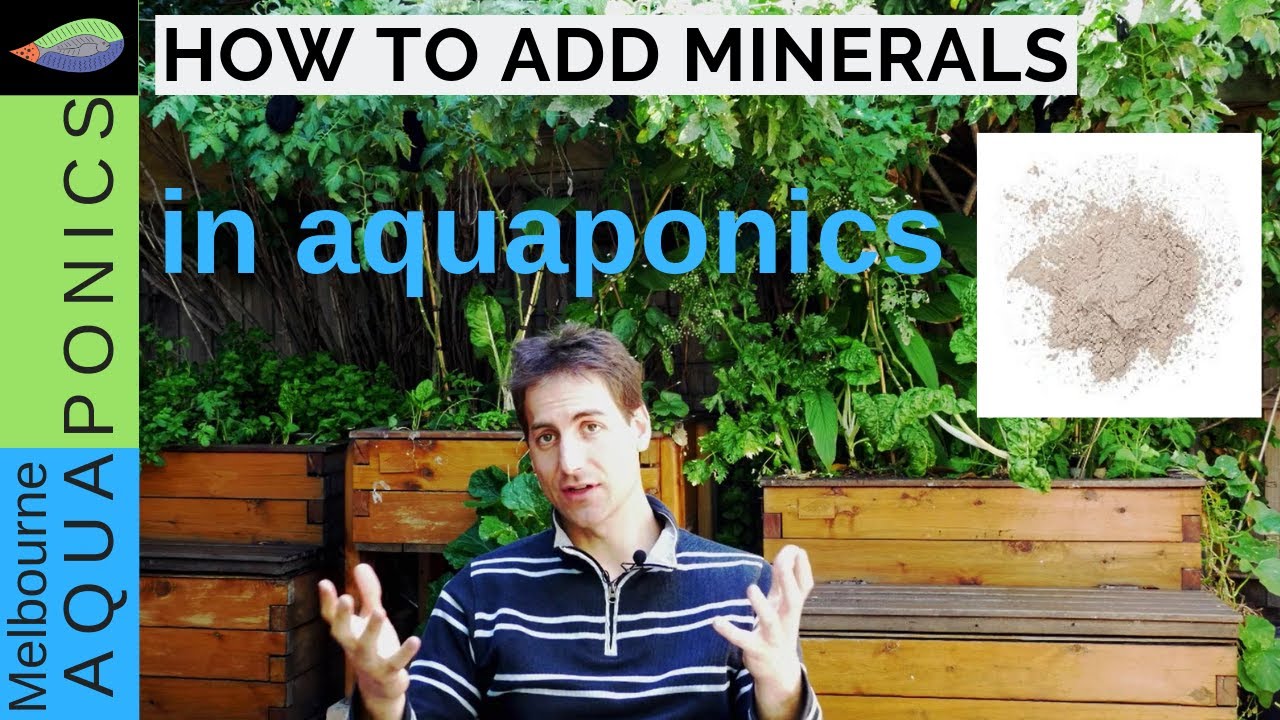 Why, how and when should we add minerals in aquaponics  Plants nutrients