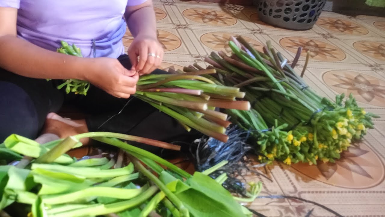 Proses pengikatan genjer || seru-seruan bareng istri