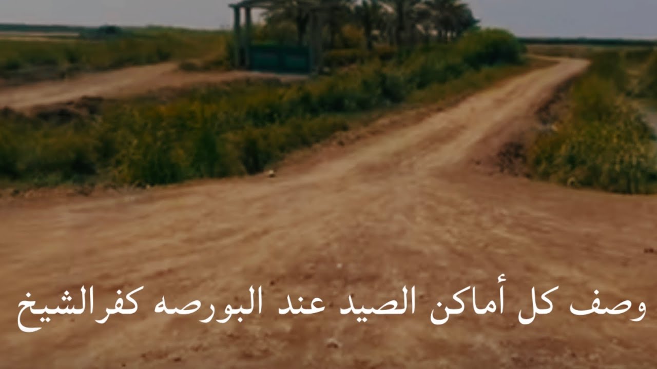 أحدث وصف كل مصارف الصيد عند البورصه بكفرالشيخ  وازاي تدخل طريق دمرو 👍