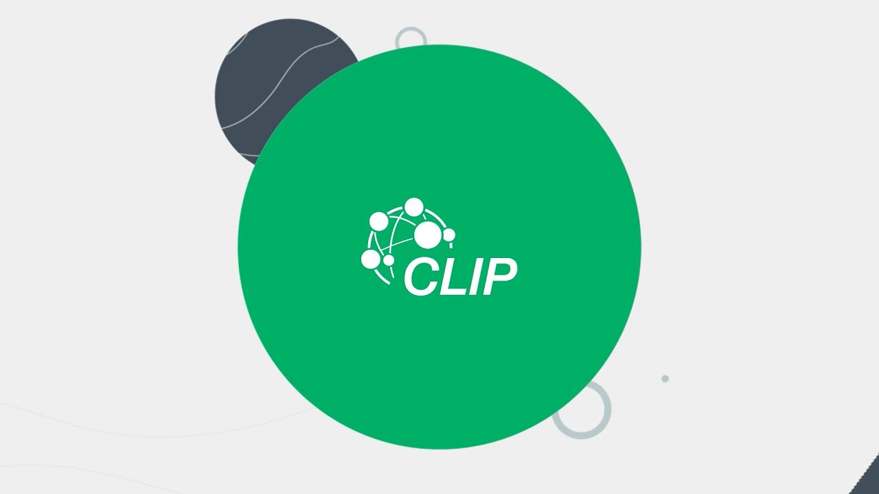 CLIP - EFMD Corporate Learning Improvement Process