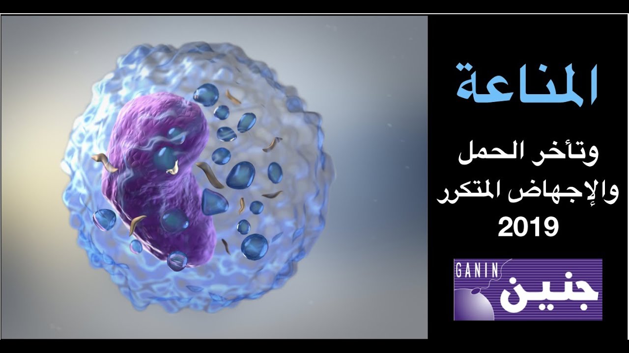 كيف أتصرف في تأخر الحمل أو الإجهاض المتكرر بسبب المناعة 2019   ؟؟