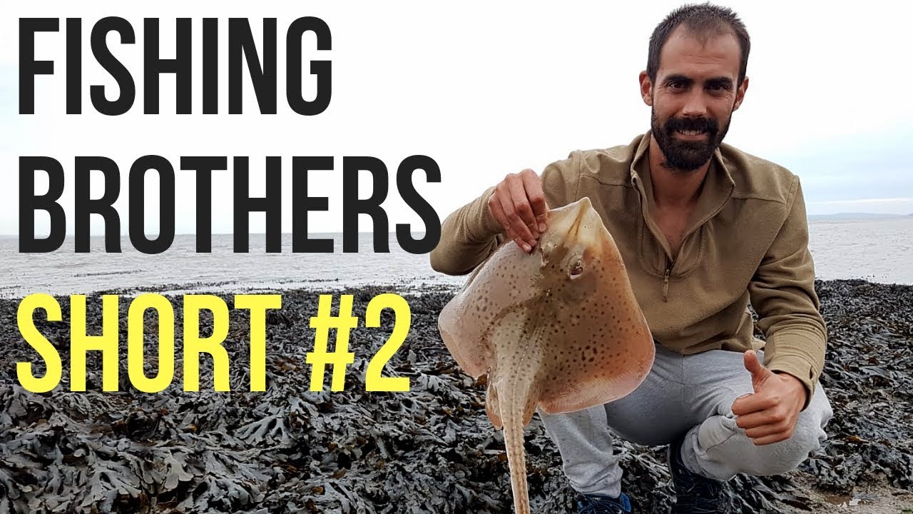 Fishing Brothers Short - Spotted Ray