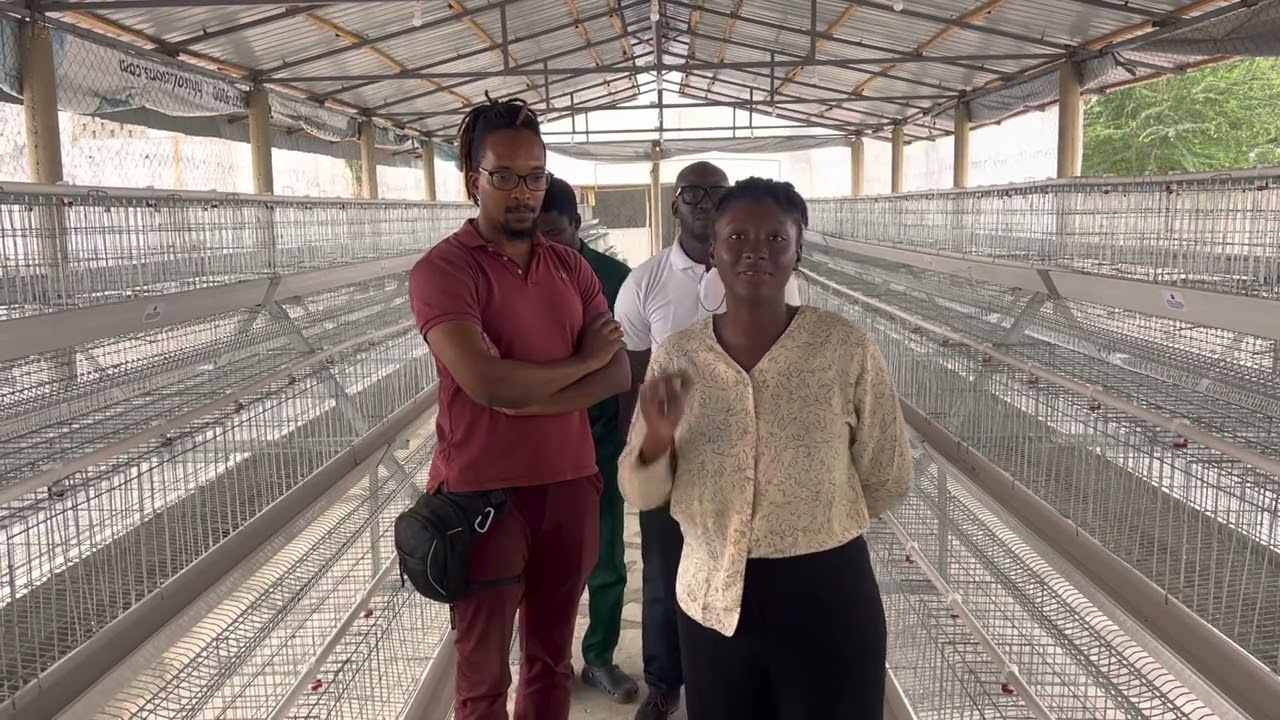 Installation d’une nouvelle ferme avicole d’une capacité de 6500 pondeuses par Joy Farm.
