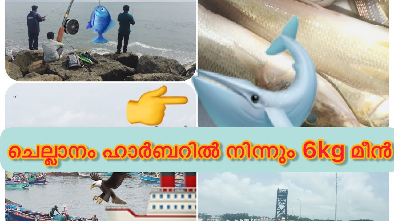 Chellanam Fishing￼ harbour # ചെല്ലാനം ഹാർബറിൽ നിന്നും 6kg മീൻ KeralaFishing Spot 