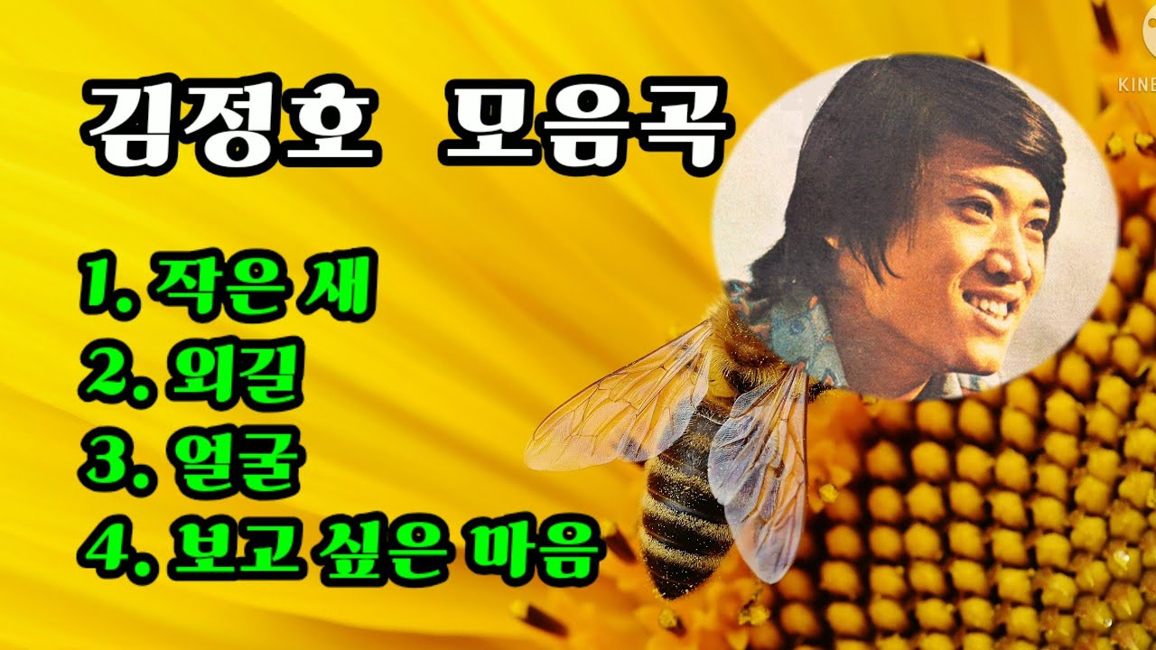 [김정호 모음곡]                  작은 새 / 외길 / 얼굴 / 보고 싶은 마음