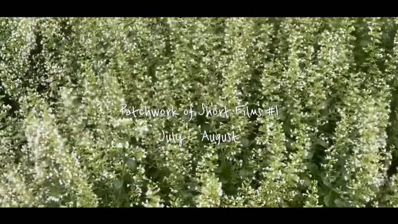 [Memory] Patchwork of Short Films #1 🎬