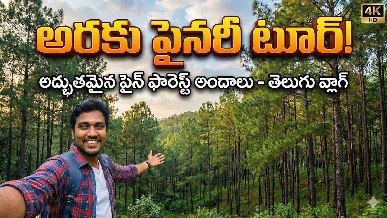 మబ్బులు, పైన చెట్లు, మౌనం… ఇదే అరకు పైనరీ | Nature Lover’s Paradise 🌲 | Araku Pinery