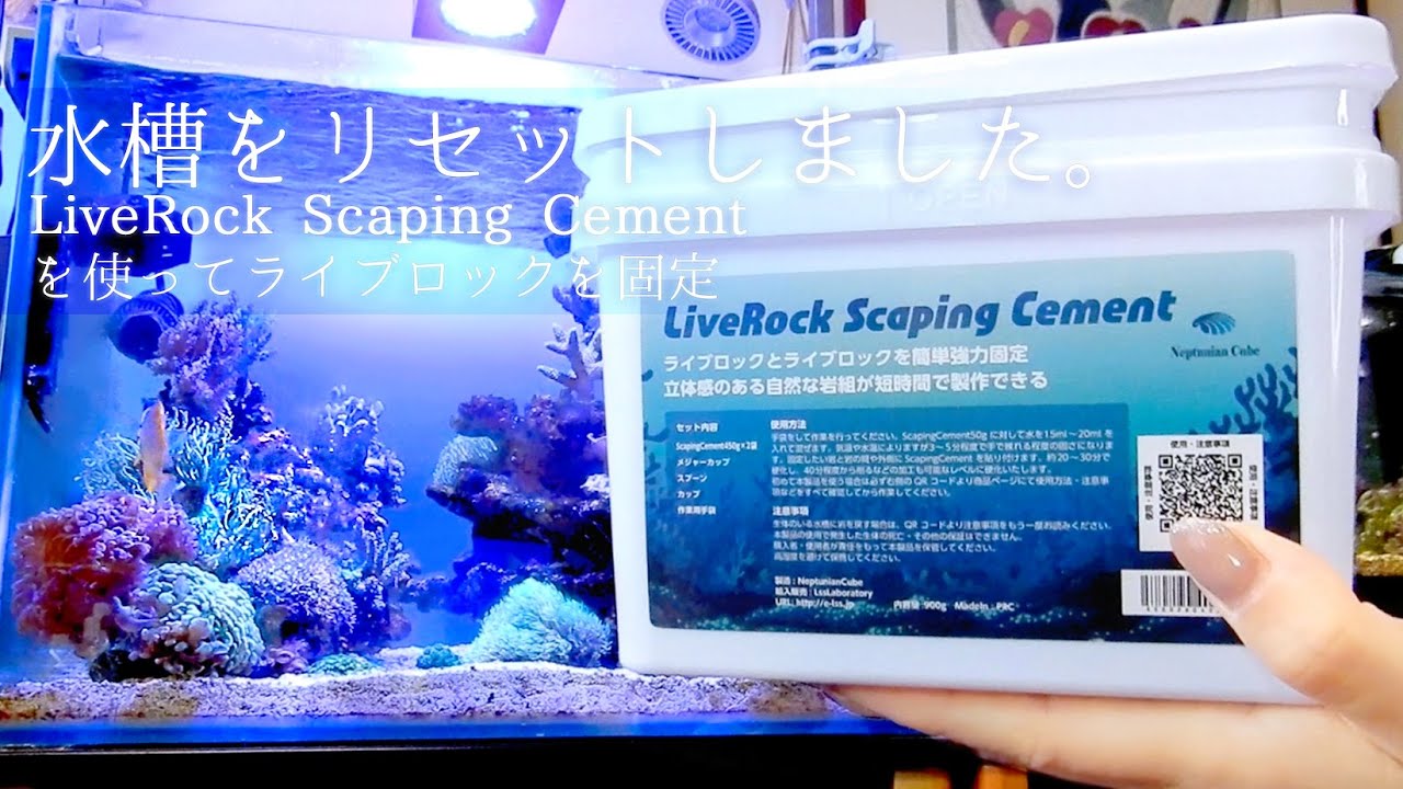水槽を半リセットしてライブロックスケーピングセメントで固定しました❀海水魚水槽 アクアリウム