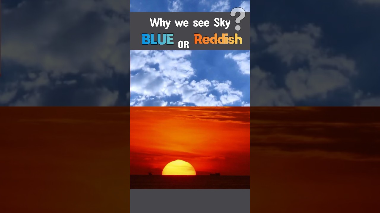 Why Does the Sky Look Blue or Red ? #shorts #shortsfeed #sky #sun #science #facts #sunrise #sunset