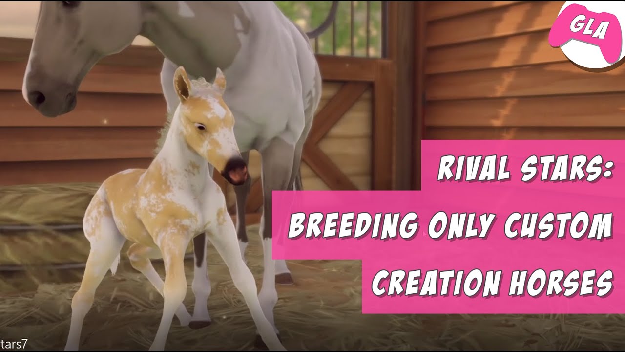 Rival Stars Horseracing gameplay - I bred only custom creation horses
