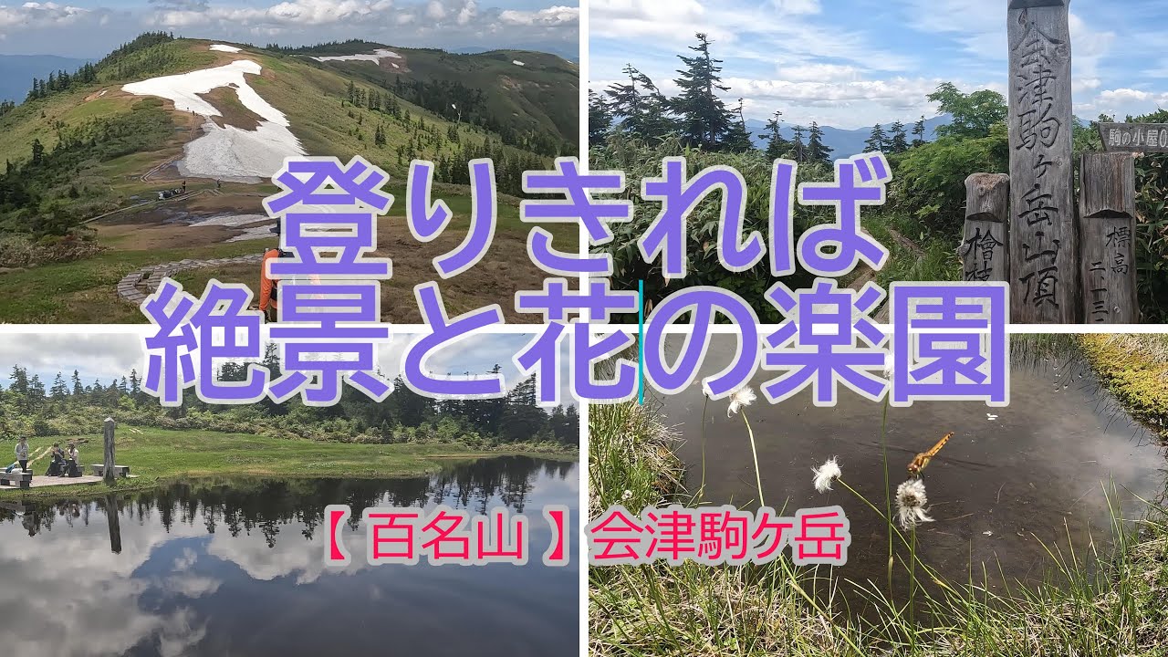 【百名山 会津駒ケ岳】  登ってしまえば 絶景を長く堪能 お花もたくさんオススメコース