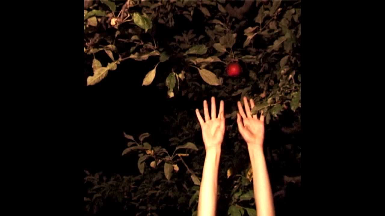 Pegazusok Nem Léteznek - Naíva