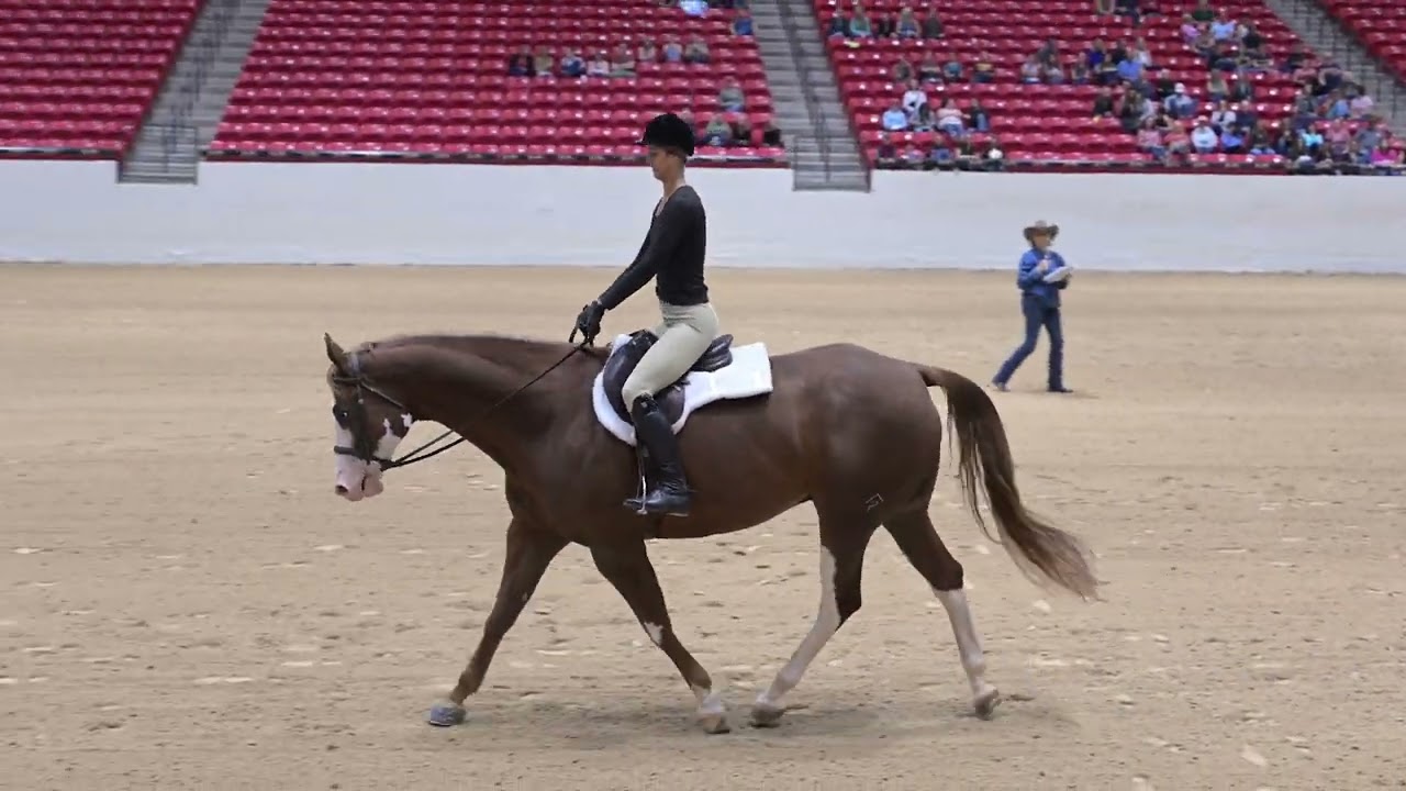 Ride the Pattern - Equitation (2024 Western National Championship)