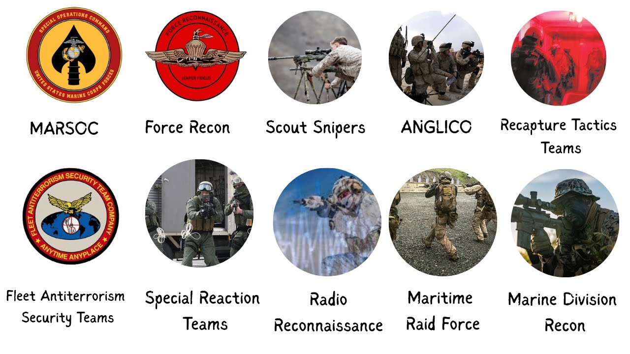 Подробности о каждом элитном подразделении Корпуса морской пехоты США
