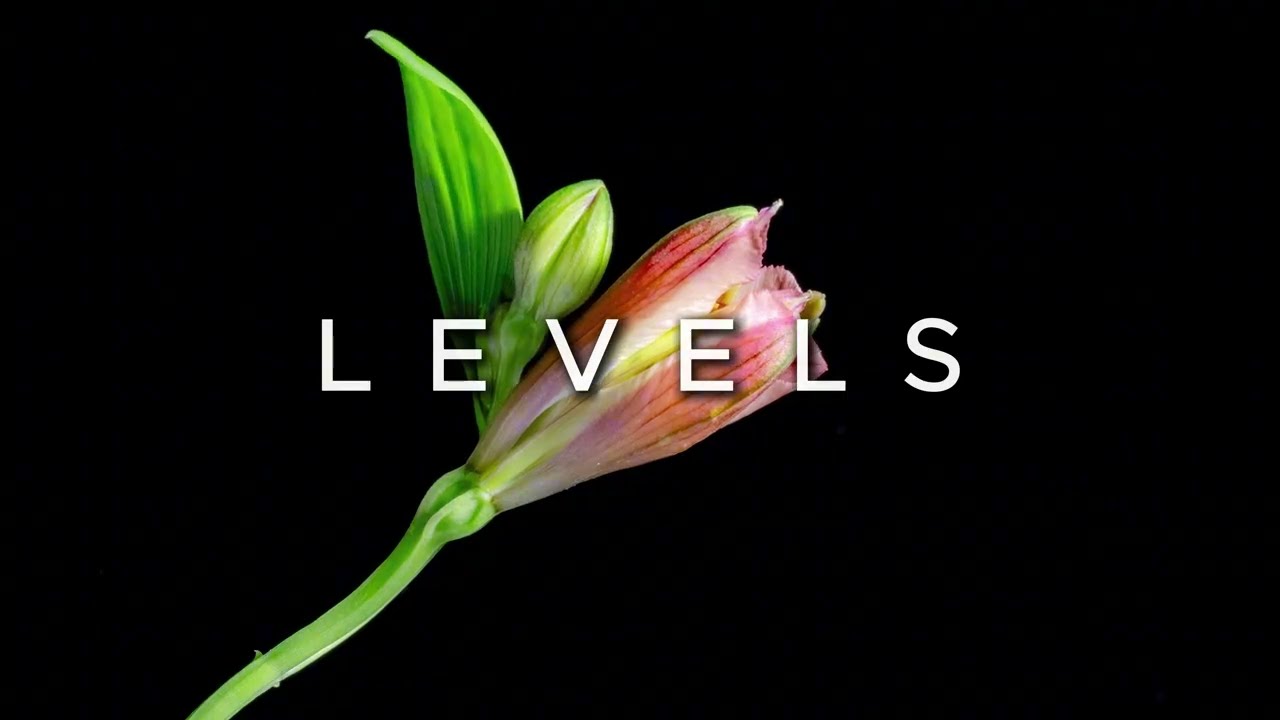 LEVELS - Bloom | Melodic Progressive House