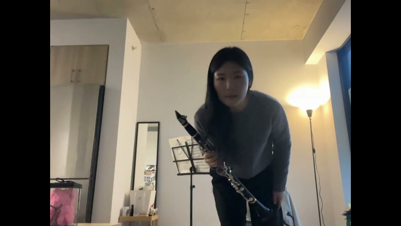 Jessica Joo (woodwind excerpts)