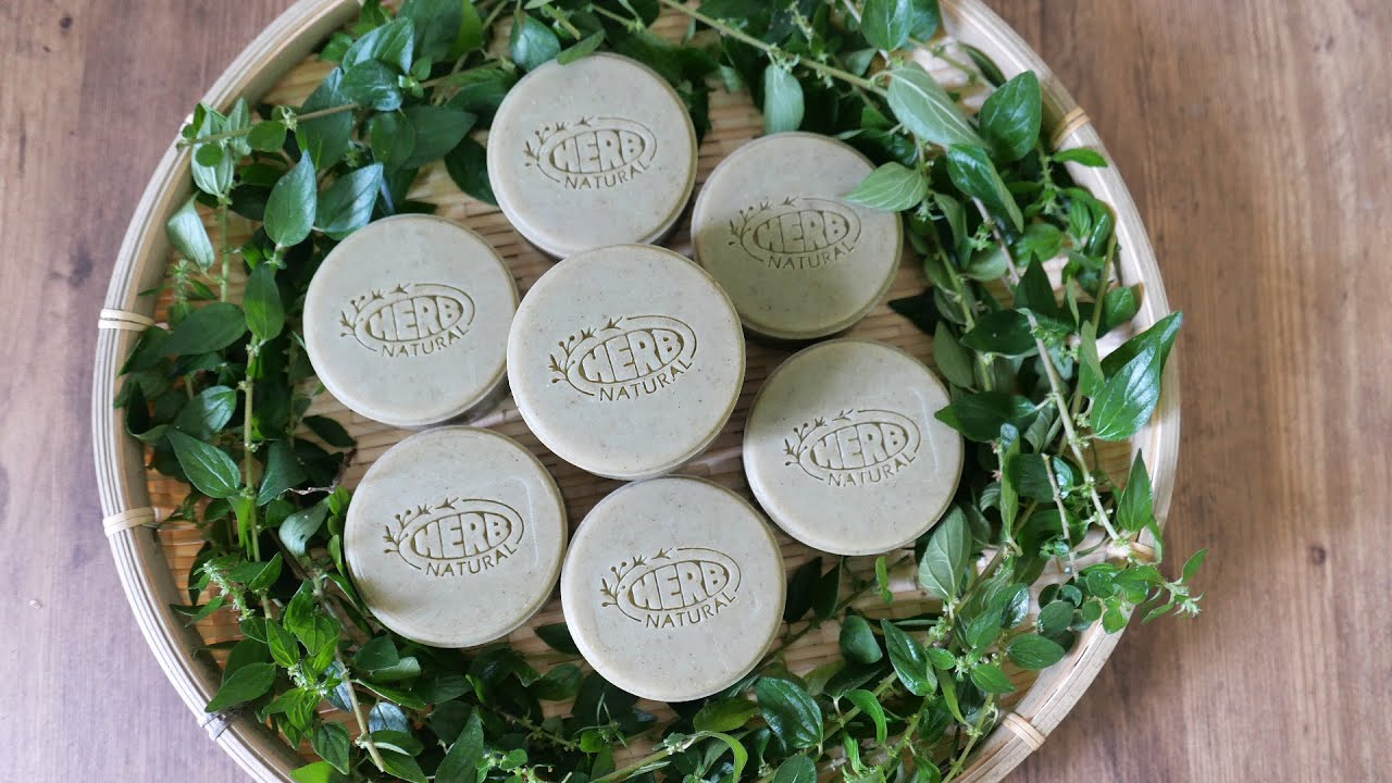 霧水葛植粹皂 - how to apply the fresh Mist Vine in the natural handmade soaps - 手工皂