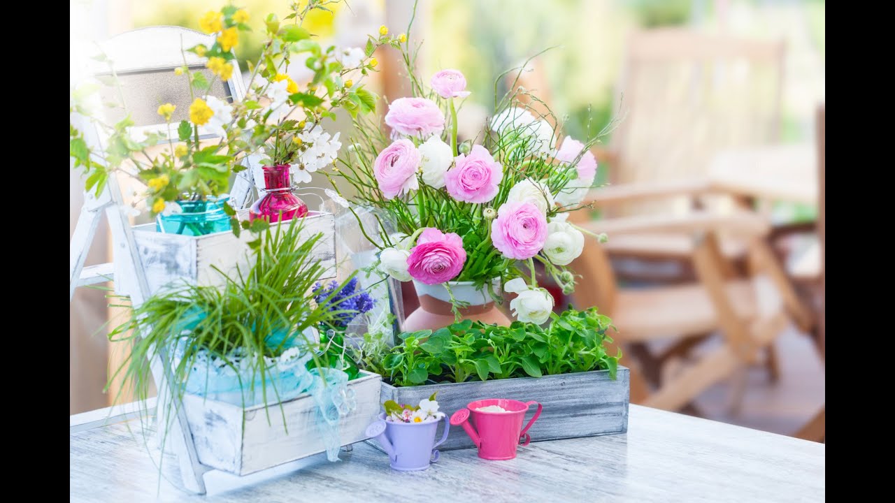 Bulbos de primavera para el balcón - Decogarden