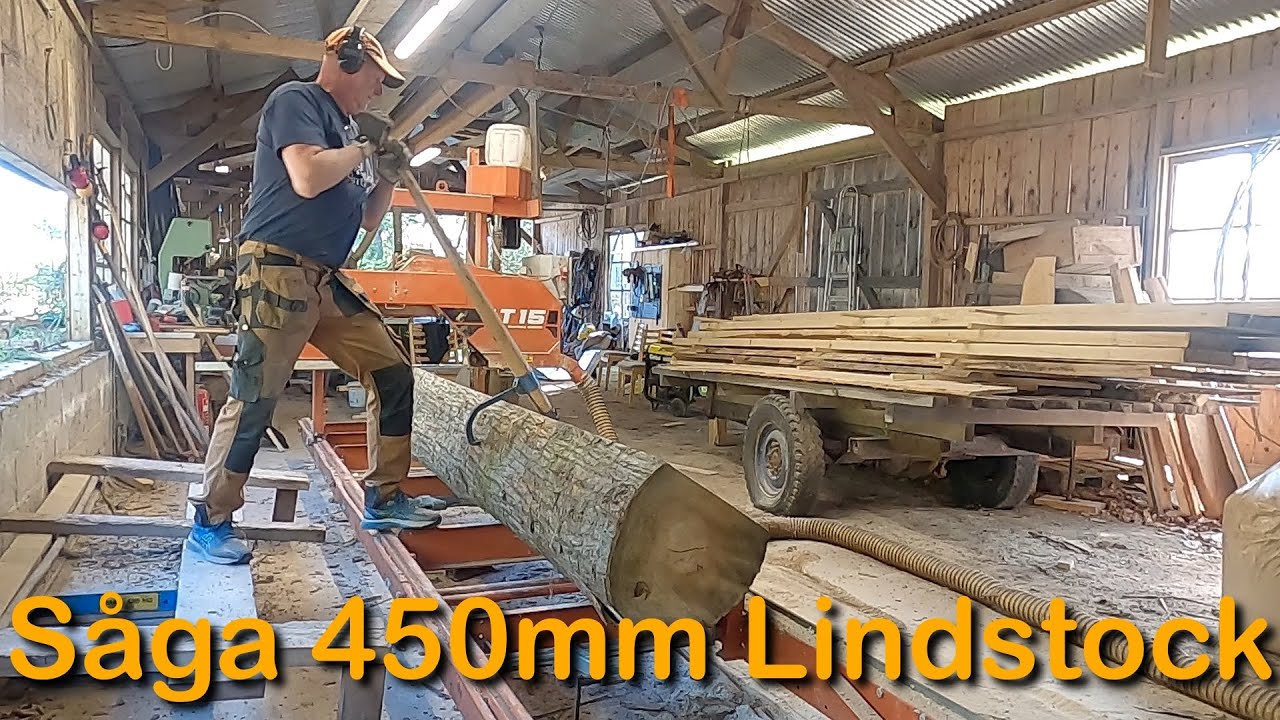 Såga Lind i sågverket (WoodMizer LT15 sågar grov Lindstock)