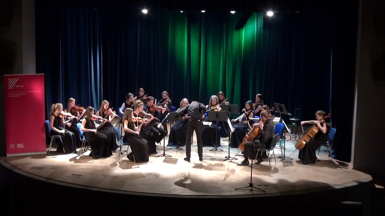 Archetti Orkiestra Kameralna Miasta Jaworzna