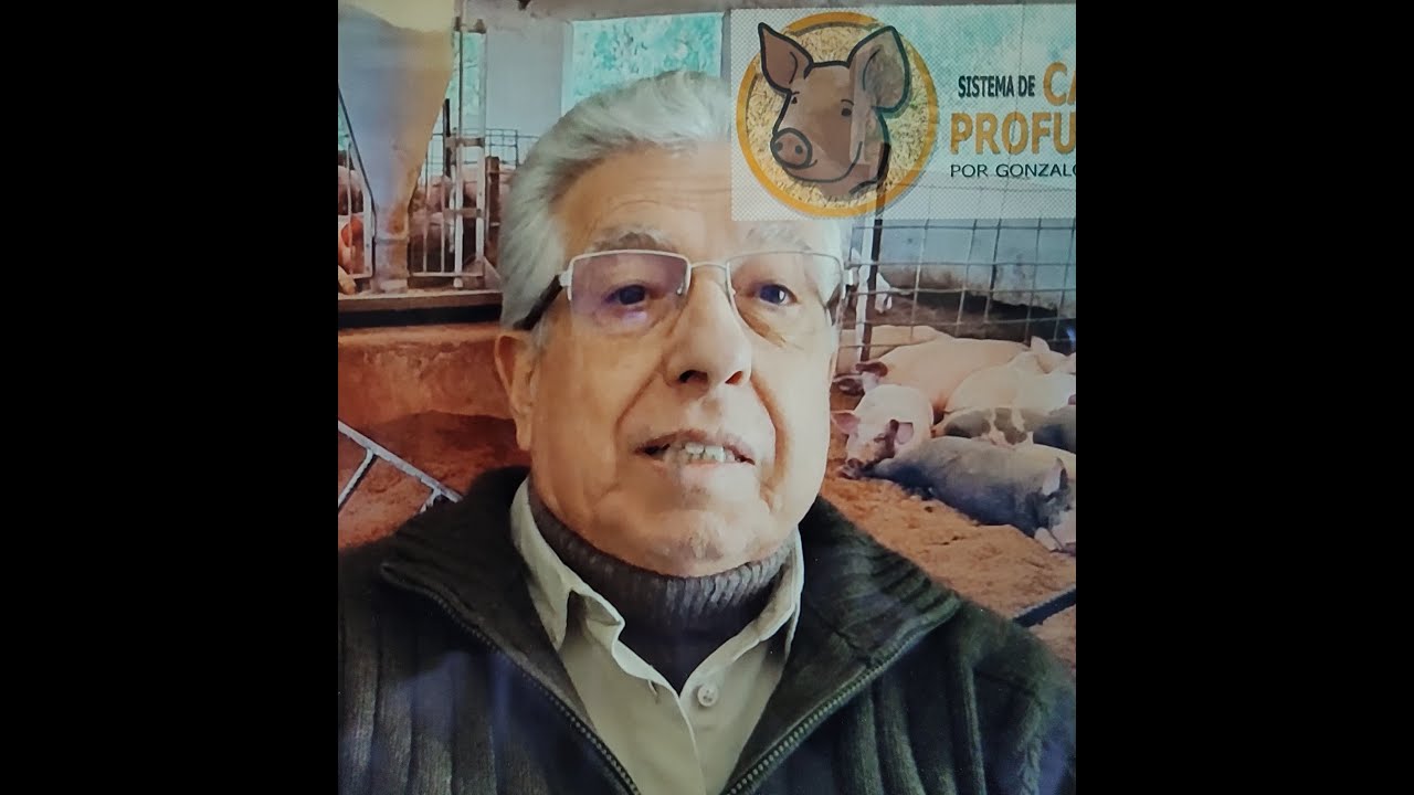 Por qué funciona tan bien el Sistema de Cama Profunda por Gonzalo Zallles 4 2