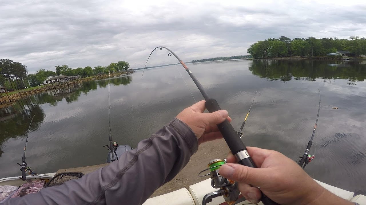 Long Line Trolling Lake Wateree!!!!