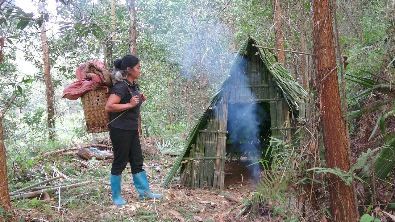 Homeless girl live in rainforest, find safe place and build makeshift shelter to survive