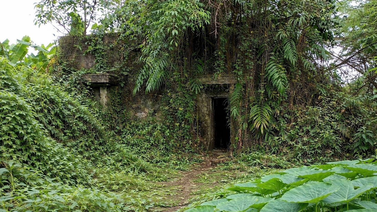 Extreme Cleaning Long-Abandoned House _ Amazing Transformation