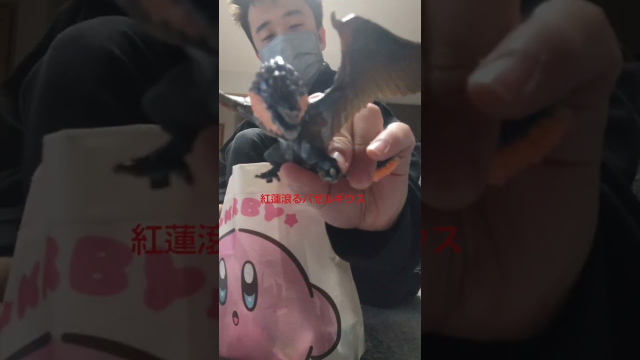朝のフィギュア、ソフビ紹介🎶🎶🎶