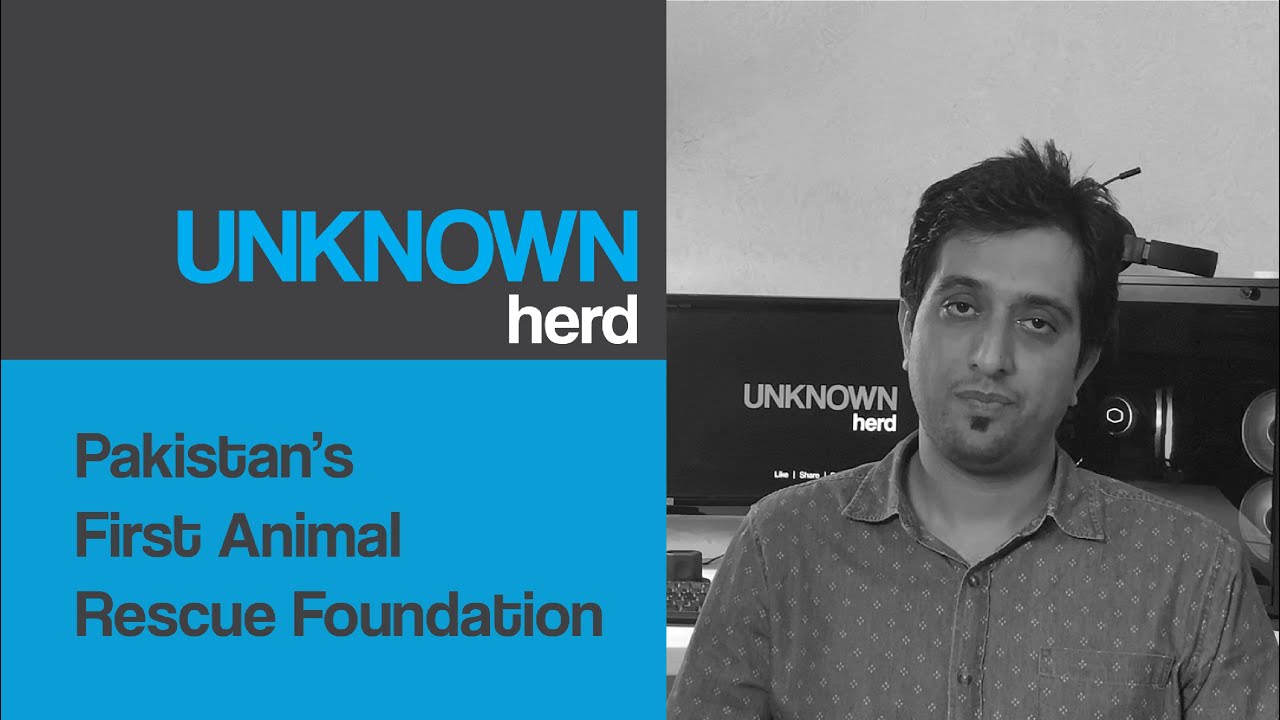 Animal Rescue Organization in Pakistan | ACF | Untold Story | Unknown Herd