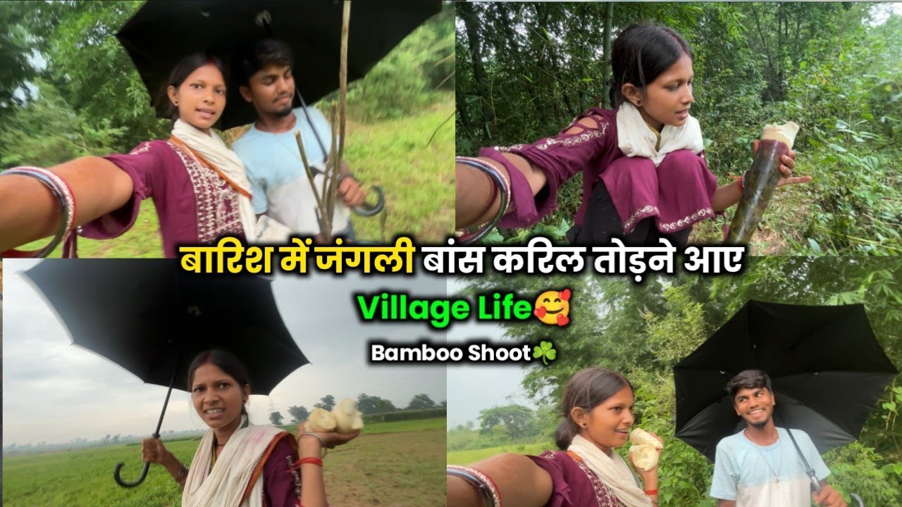 जंगली बांस करिल तोड़ने आए☘️