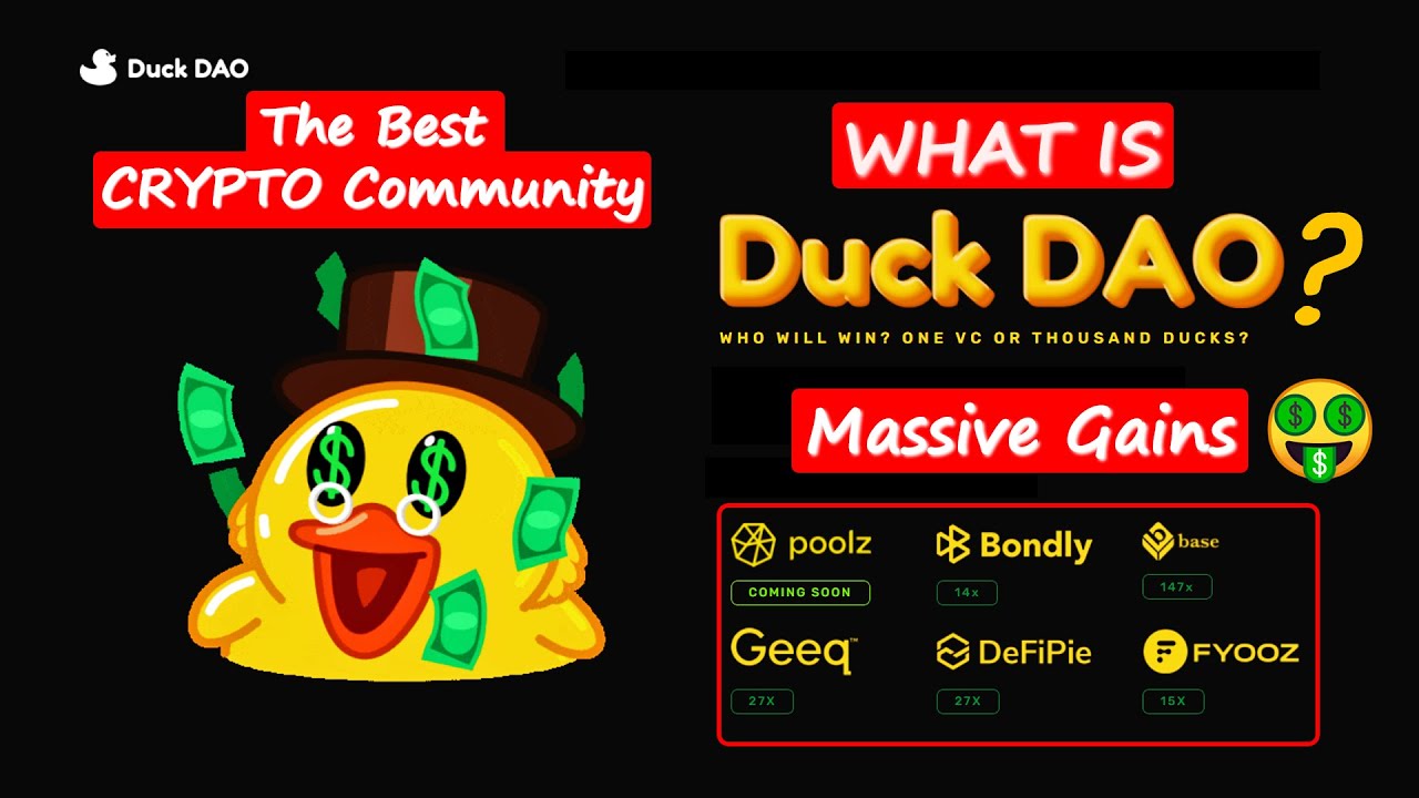 What is Duck Dao Dime (DDIM) |How To Join Duck Dao Clubs| Complete Review Of Duck Dao