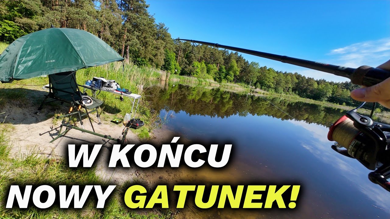 PRZYZNAJ ŻE CHCIAŁBYŚ TAKIE EFEKTY... NA PZW