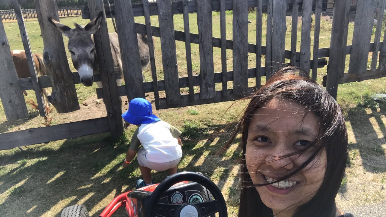 Ukinoys goes to Zoolandia, Finland