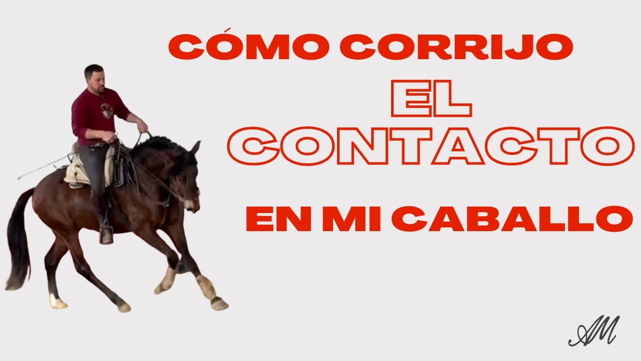 Cómo corrijo el contacto en mi caballo