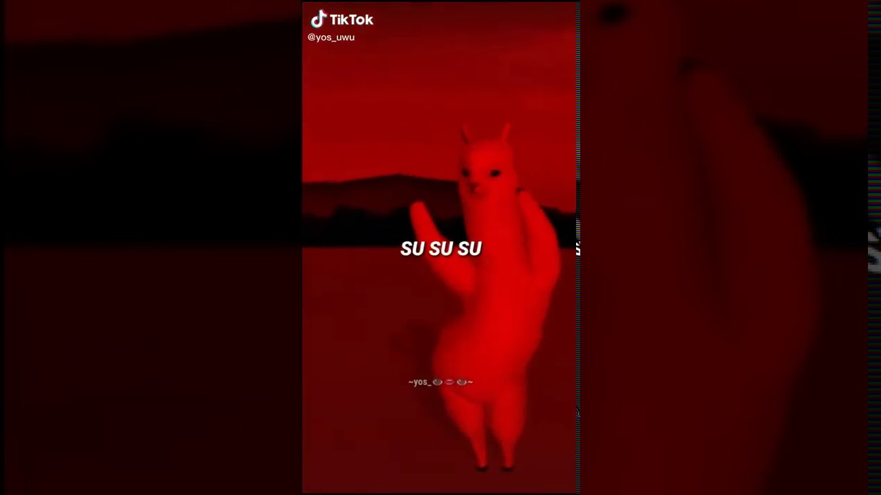 mi pan su su sum su su su mi pan yakakus &ntilde;am &ntilde;am &ntilde;am - tik tok song funny meme