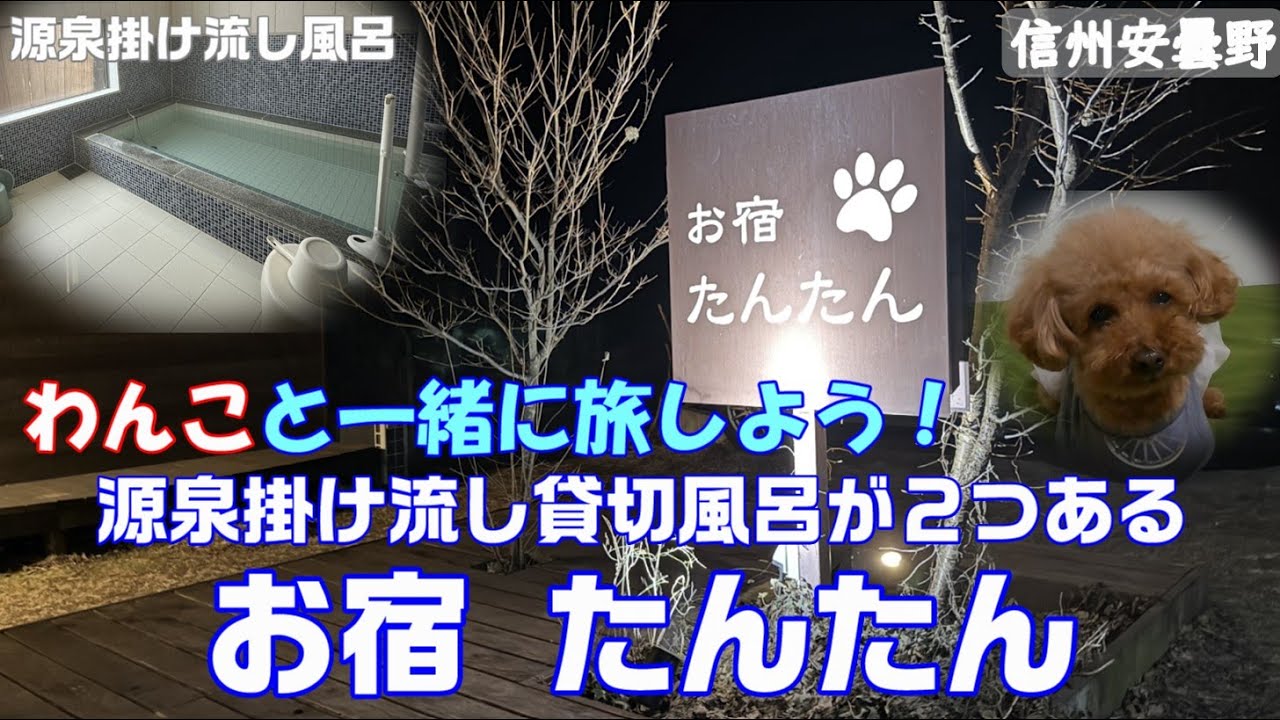 【信州安曇野 お宿たんたん】加水･加温なしの源泉掛け流しの貸切風呂で満喫、地元食材の料理に舌鼓、広々ドックランも併設