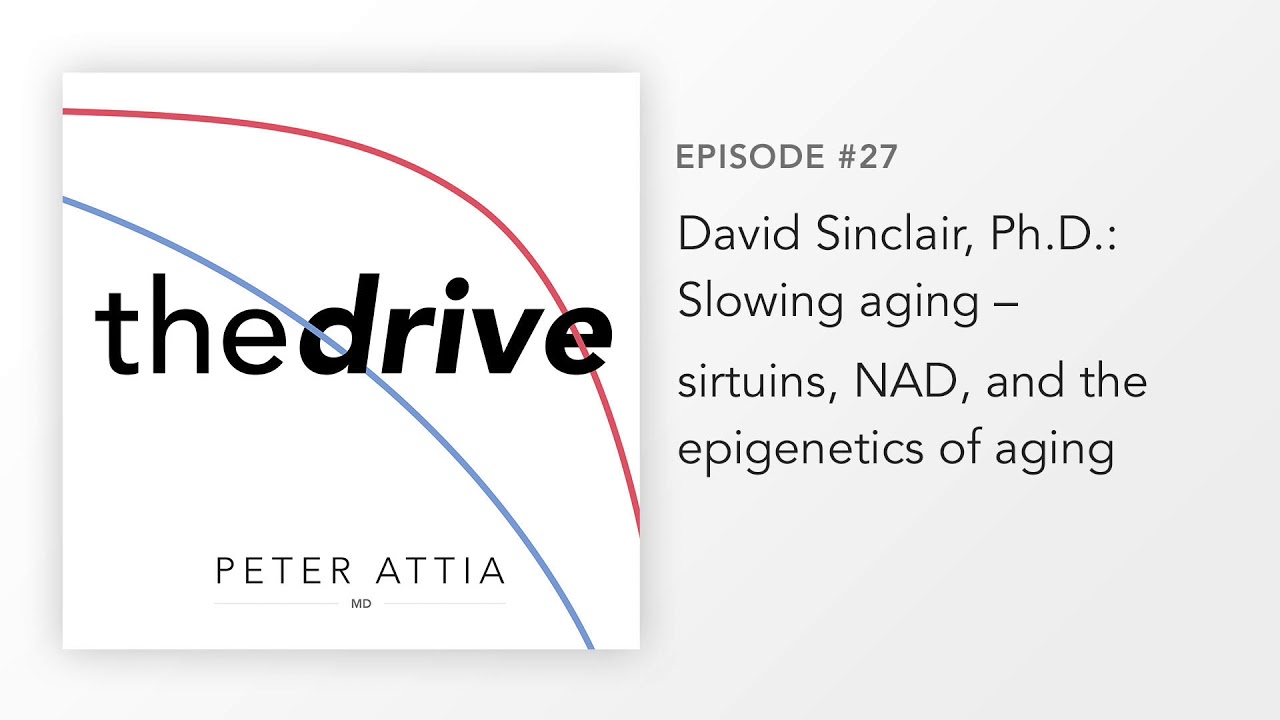 #27 – David Sinclair, Ph.D.: Slowing aging – sirtuins, NAD, and the epigenetics of aging