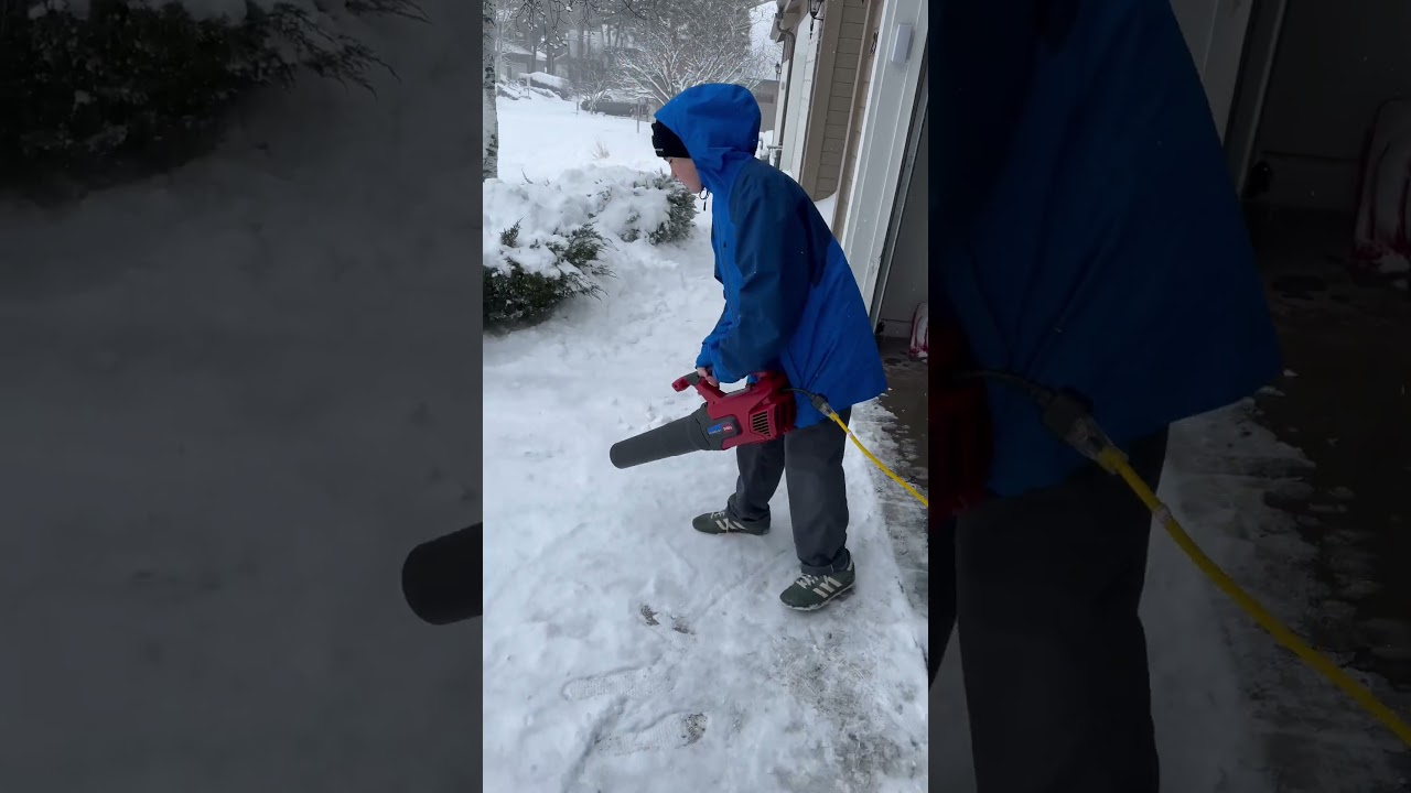 Snow Removal Experiment: Leaf Blower vs. Snow Shovel Showdown! ❄️🍃
