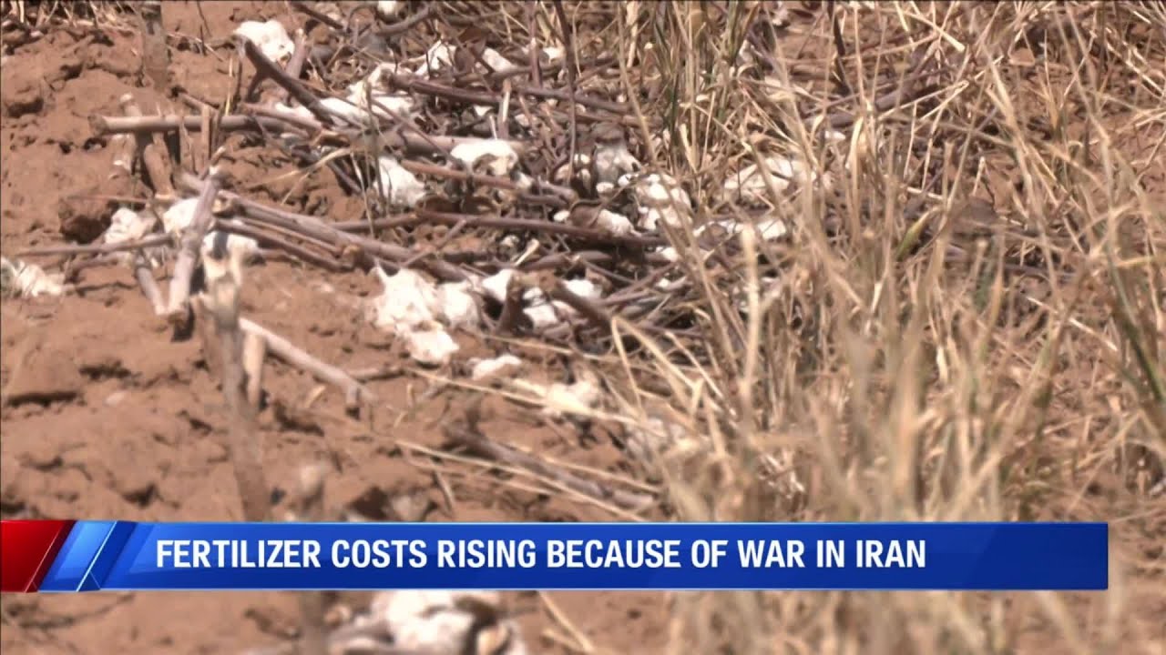 Fertilizer costs rising due to the war in Iran
