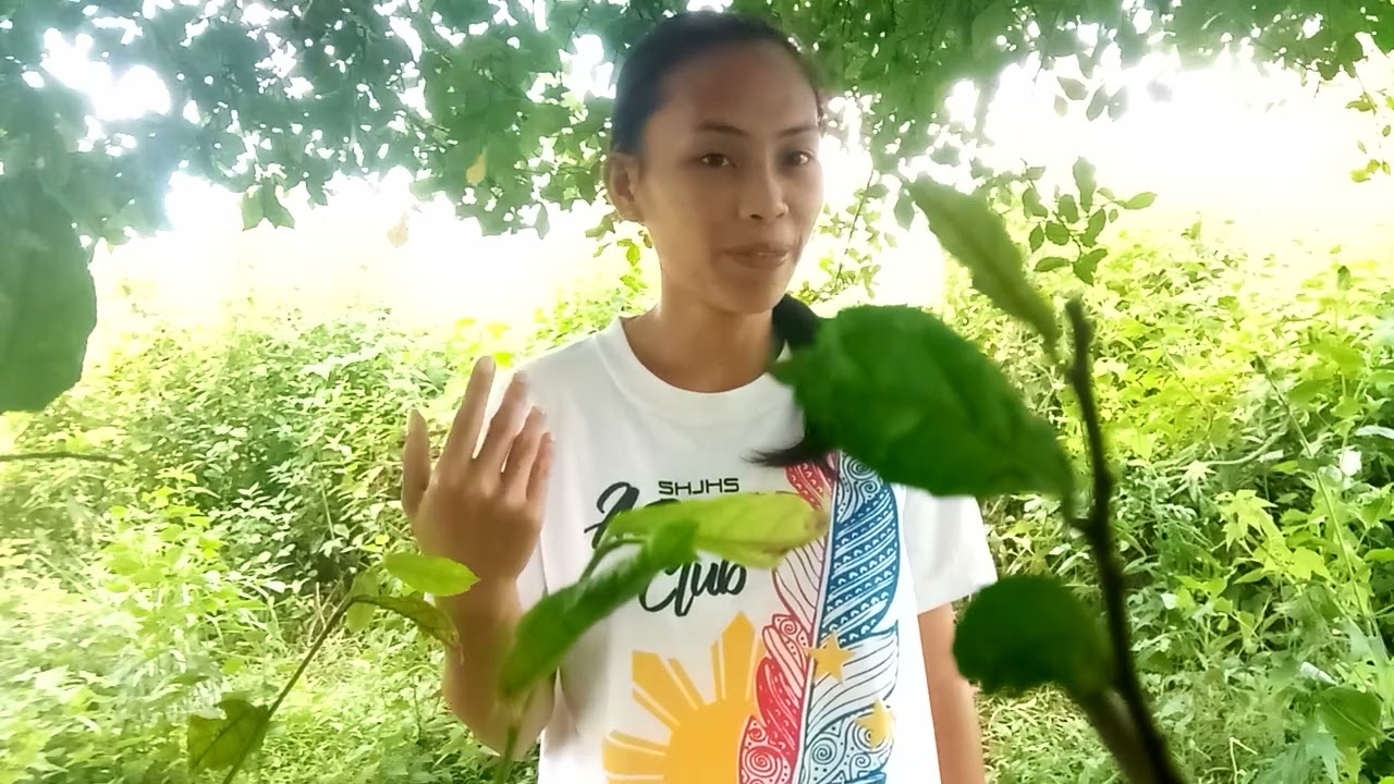 Ang munting Talumpati ni Jev hahhahah
