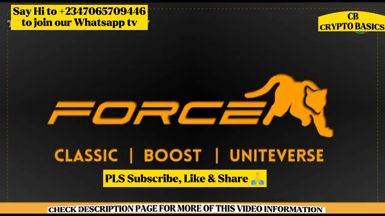 What Is META FORCE ? Here Is Everything You Need To Know..