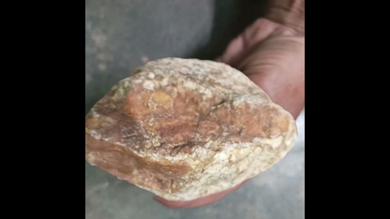 METEORITE COLLECTOR.