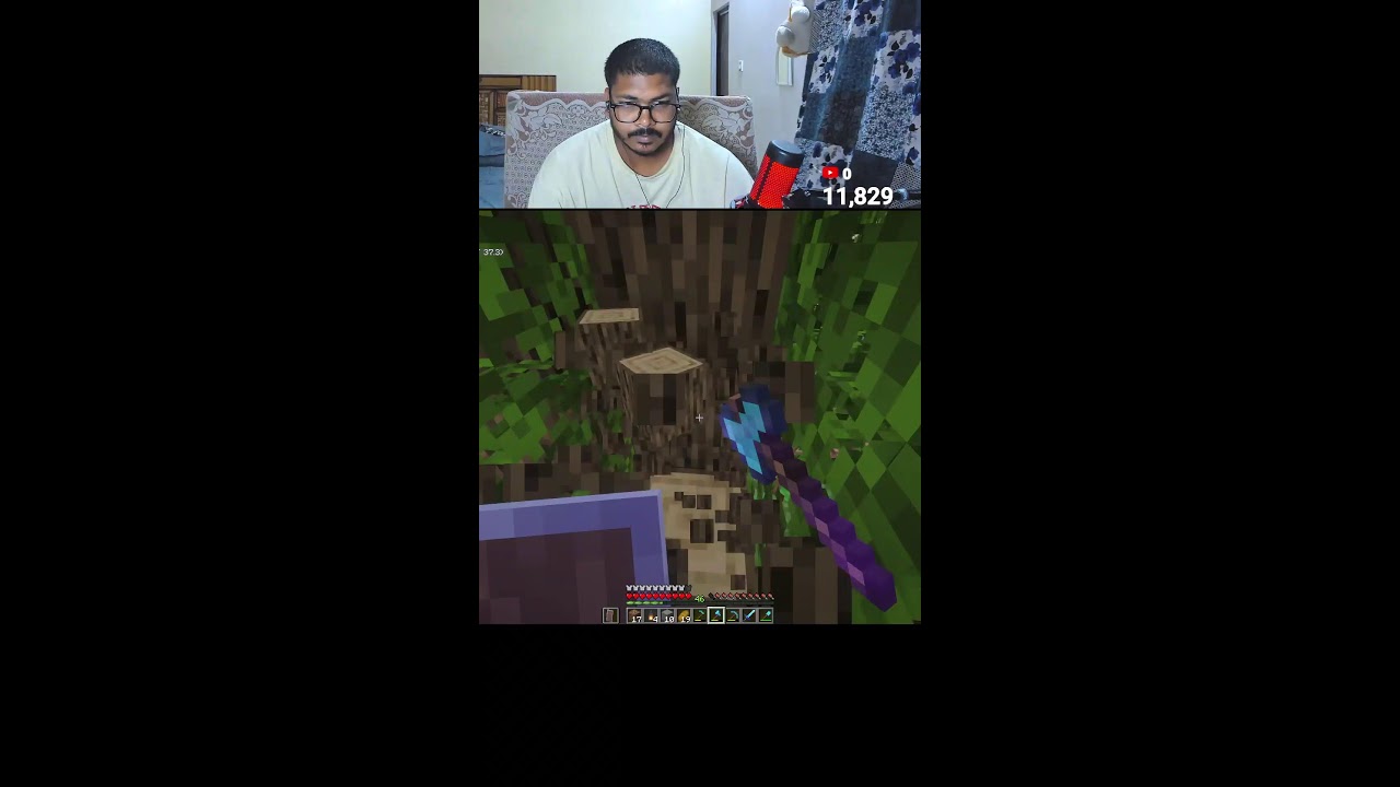 LIVE 🔴 Minecraft survival #12