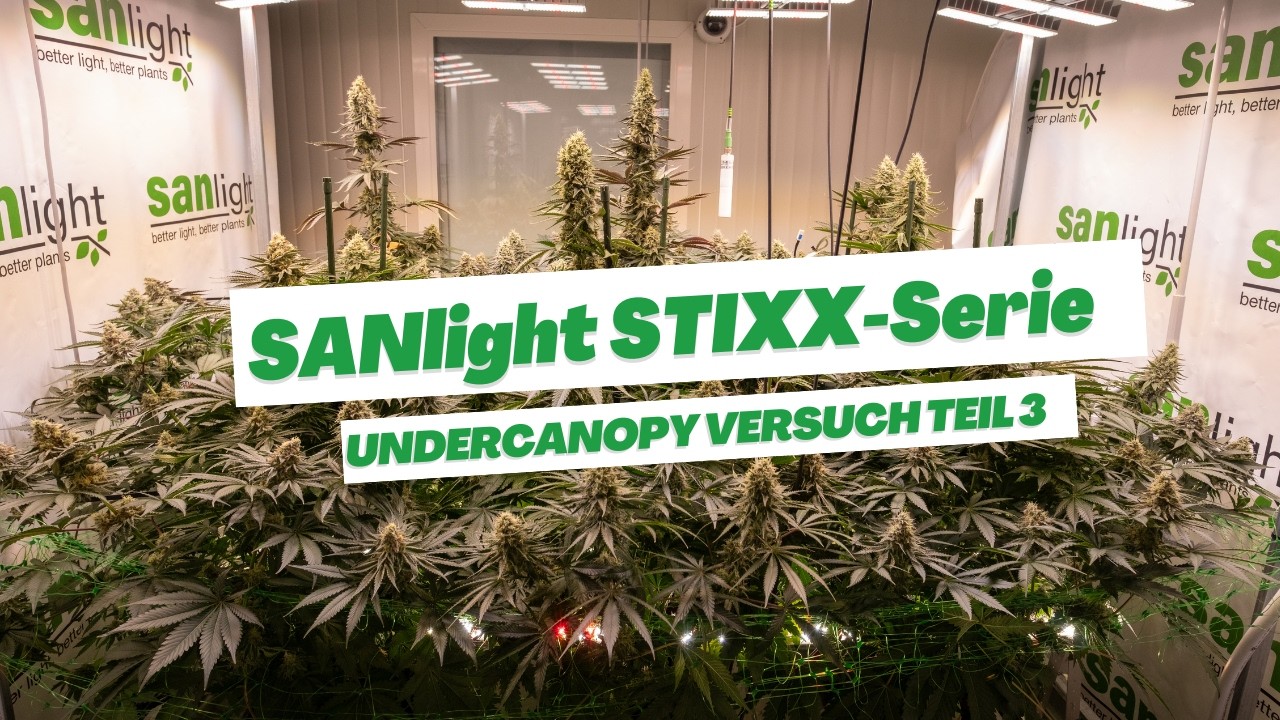 SANlight Lab: STIXX-Serie Undercanopy Versuch / Teil 3