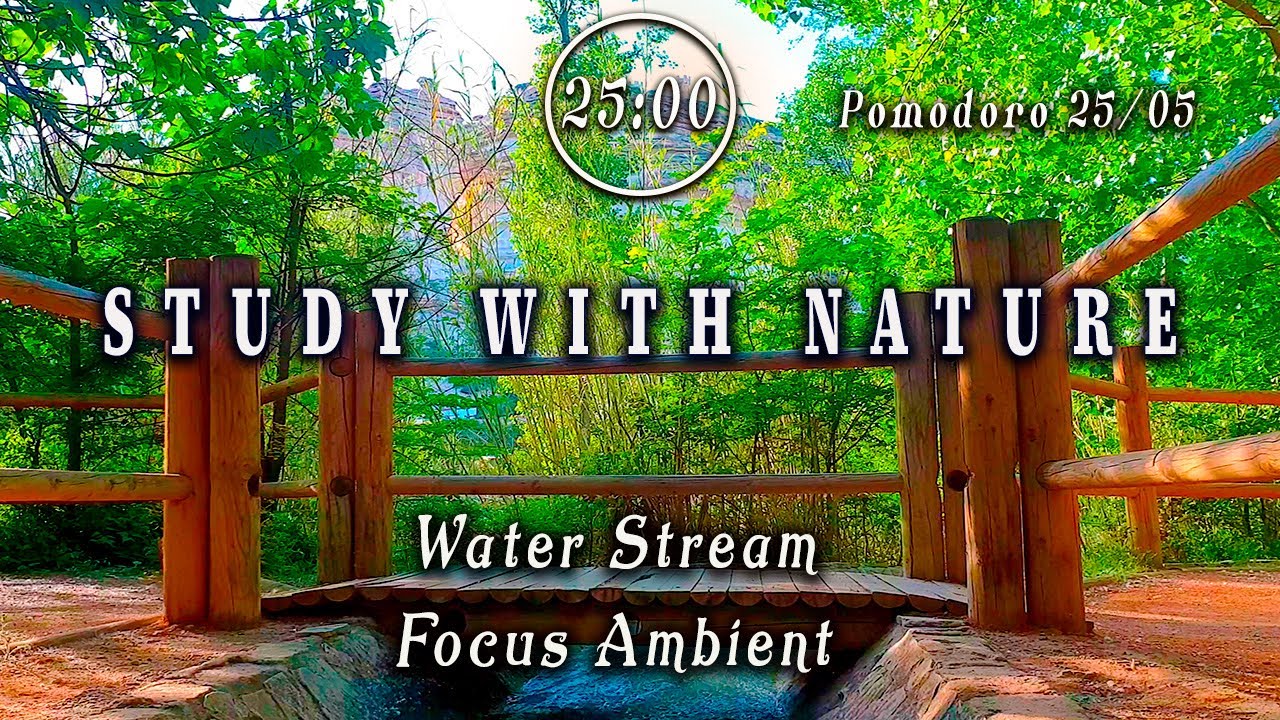 POMODORO 25/5🕒 Intense Study Water White Noise to Increase Productivity & Focus🌿Productive Deep Work