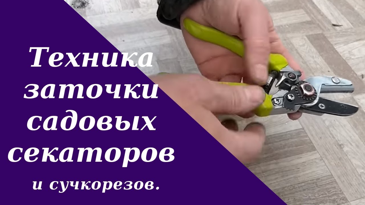 Техника заточки садовых секаторов и сучкорезов.
