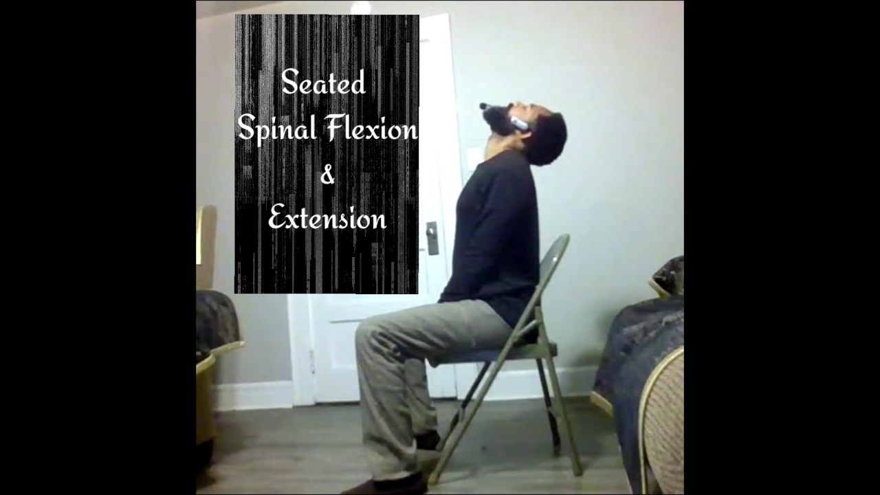 Seated Spinal Extension & Flexion Sequence