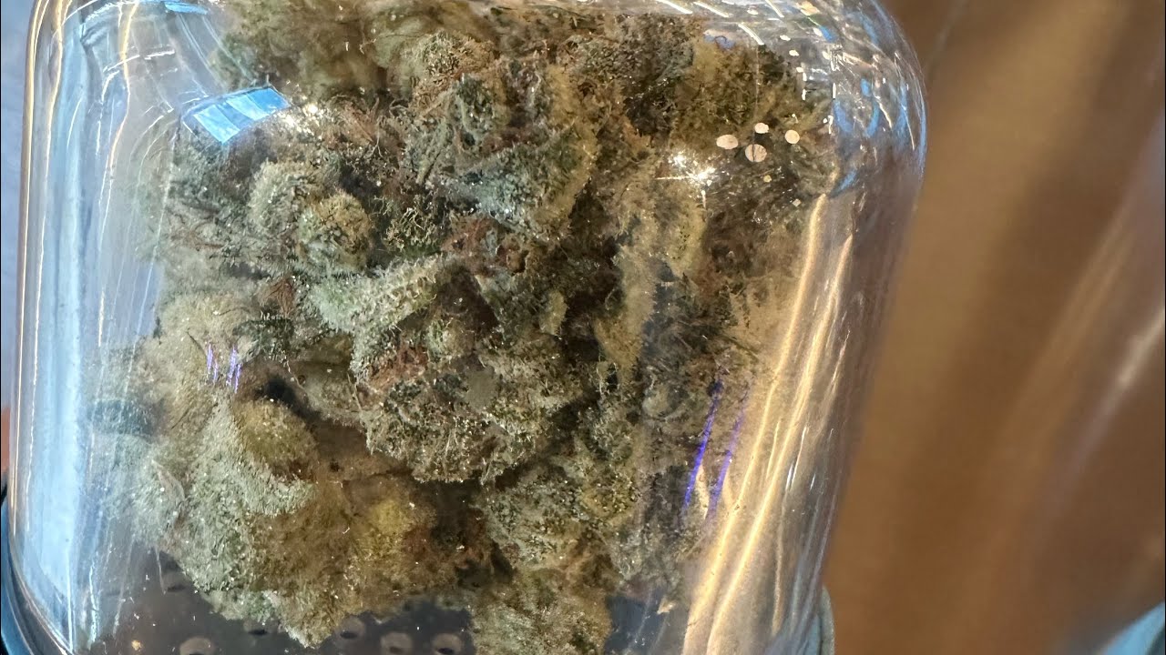 Cookies, dispensary, Colorado ￼